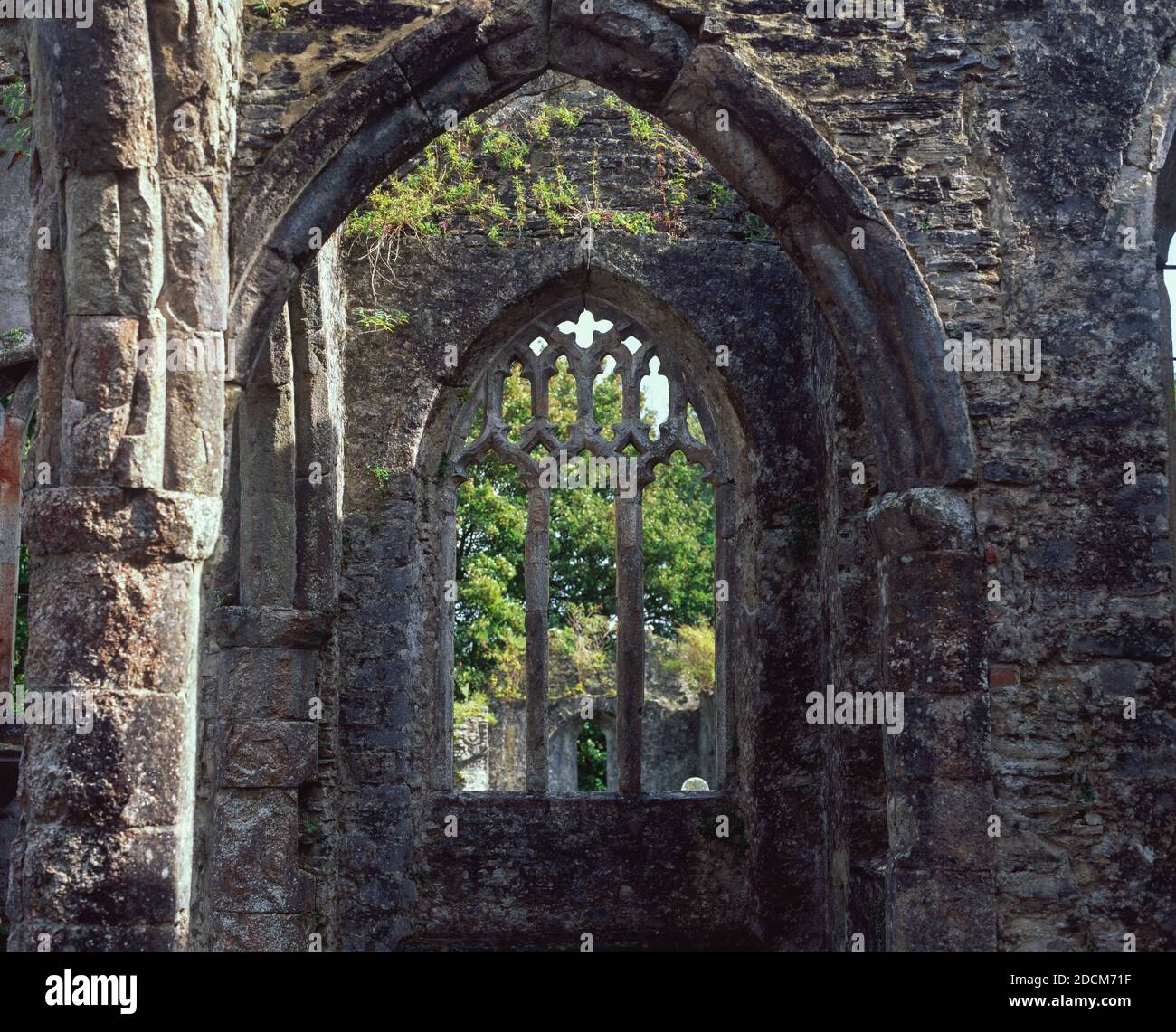 Chiesa della Santissima Trinità, Buckfastleigh 9 Foto Stock