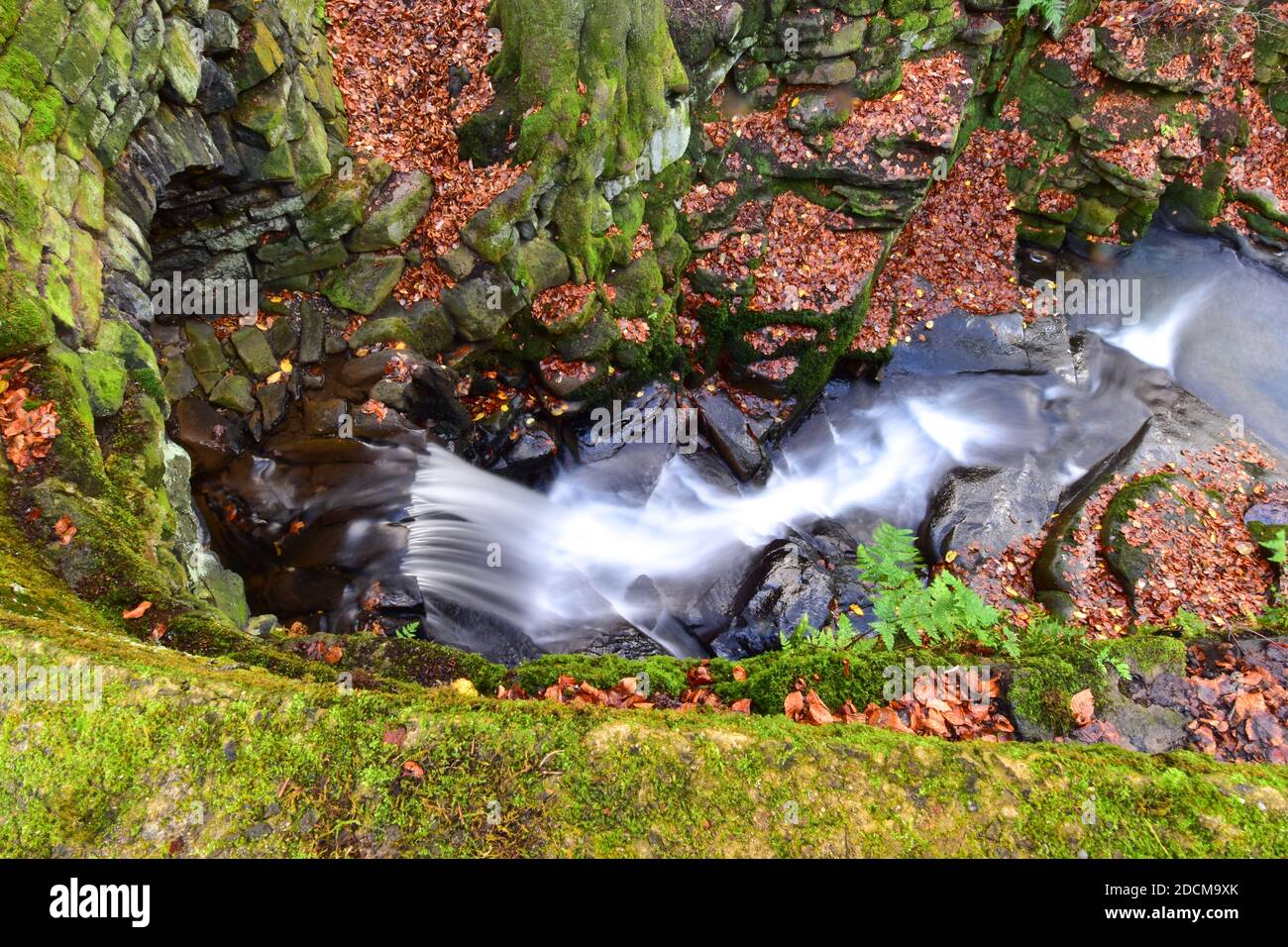 Nutlough Woods, Hebden Bridge, Calderdale, West Yorkshire Foto Stock