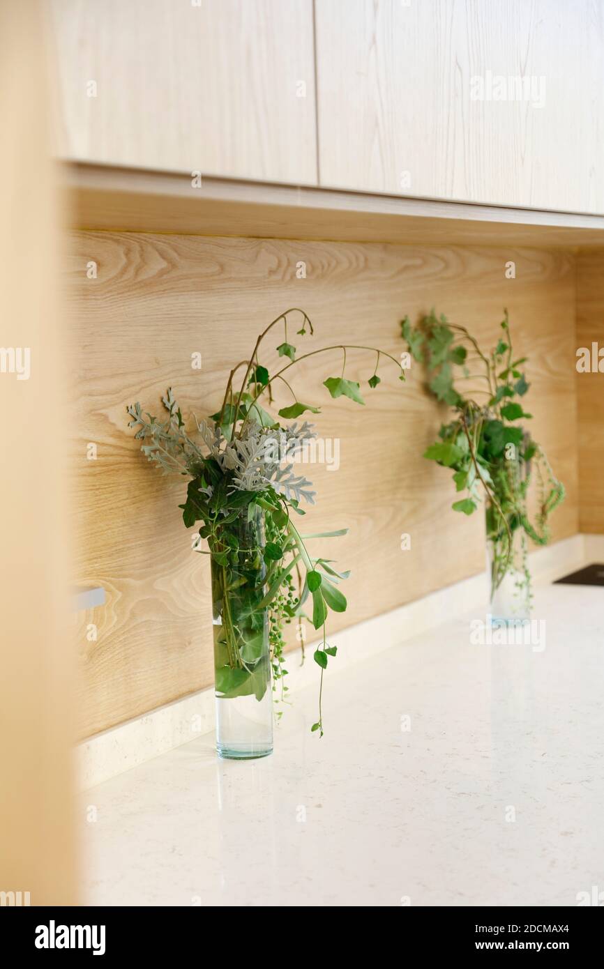 Due vasi di vetro con splendidi fiori sugli armadi della cucina Foto Stock