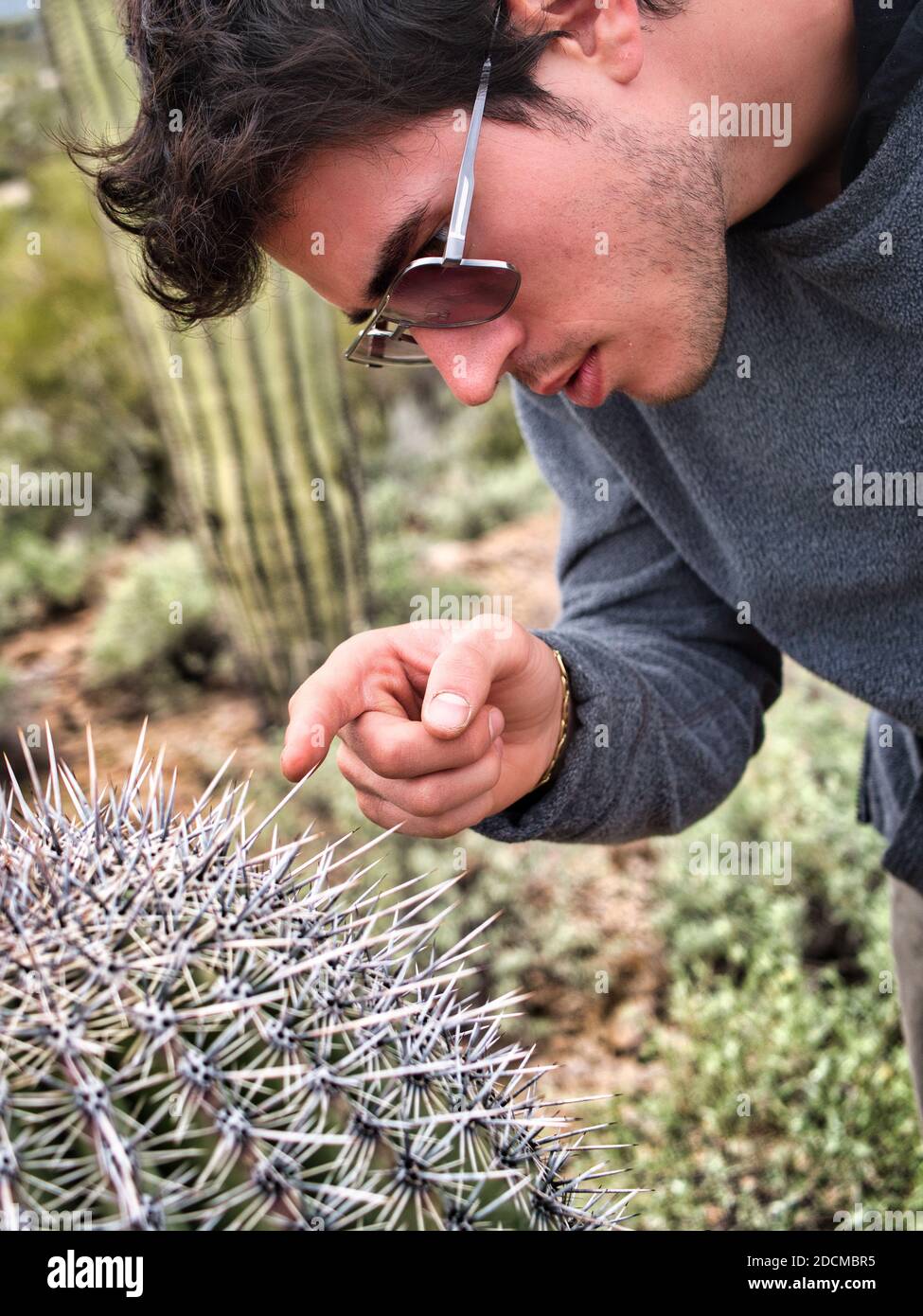 Giovane maschio che esamina i cactus prickles, toccandolo con un dito Foto Stock