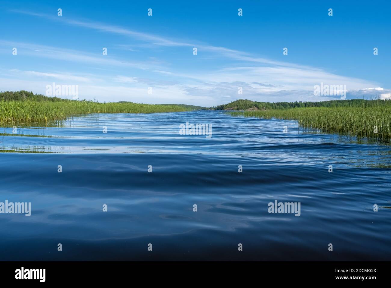 Bellissimo paesaggio. Lago con vegetazione verde contro un cielo blu con nuvole e piccole onde sull'acqua. Foto Stock