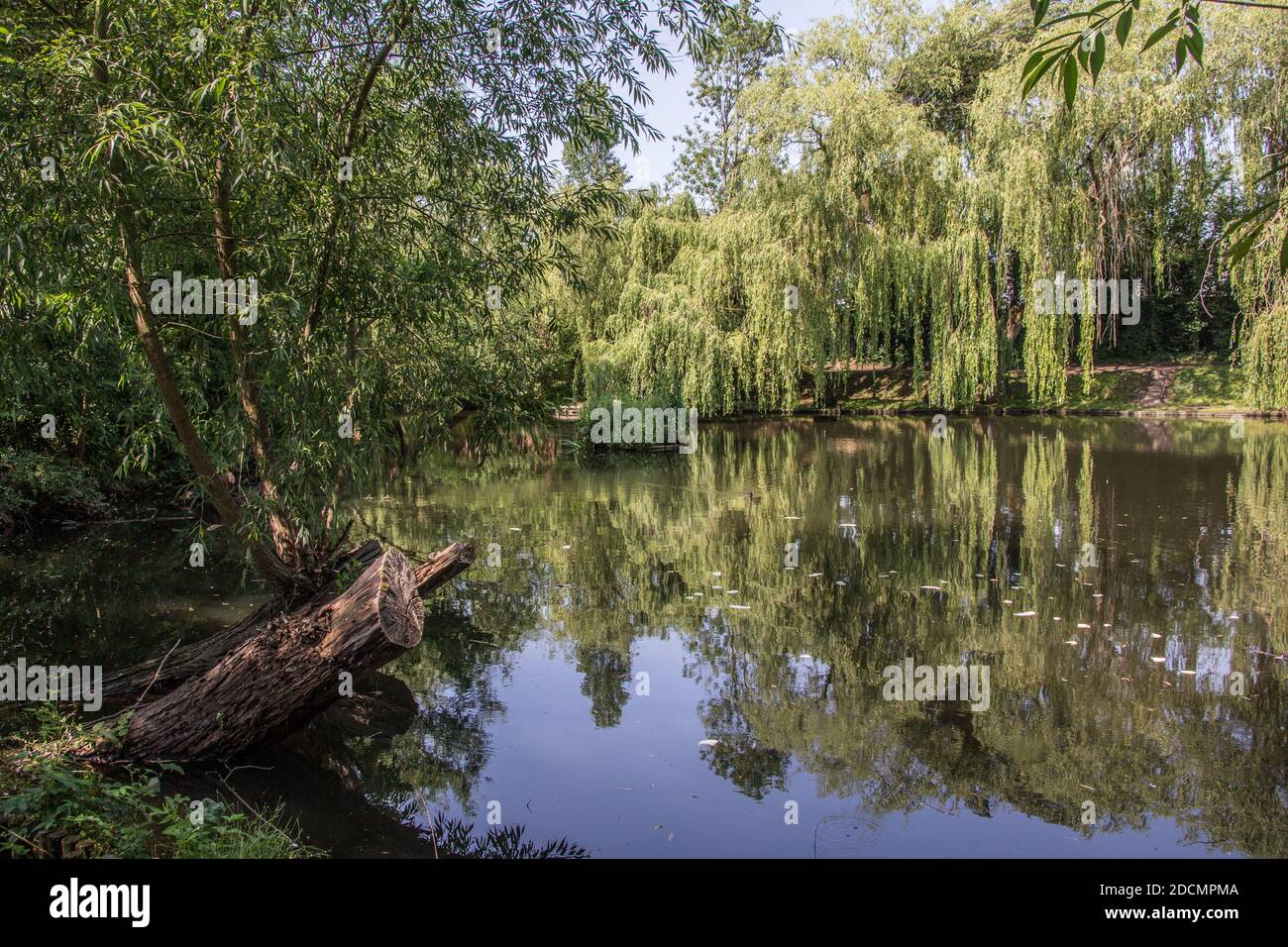 Tranquillo e tranquillo lago a London Colney Foto Stock