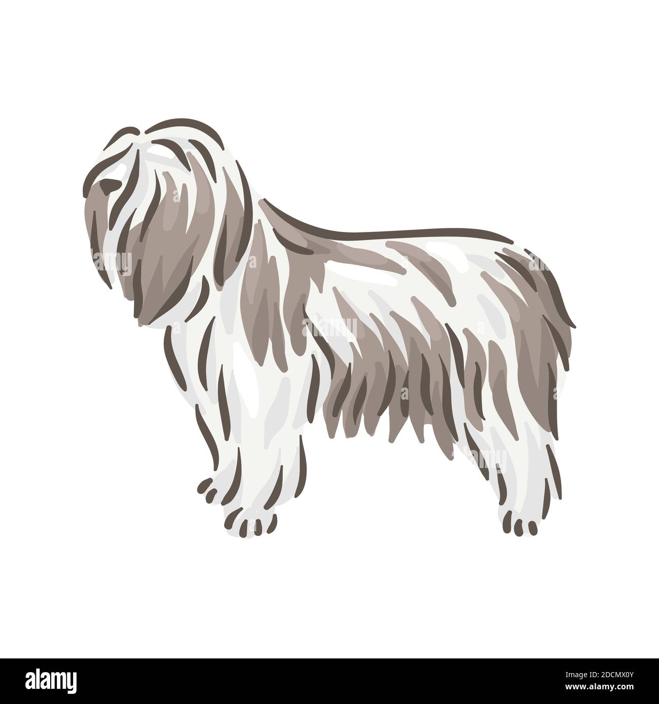 Carino cane Polski Owczarek Nizinny razza pedigree illustrazione vettoriale Illustrazione Vettoriale