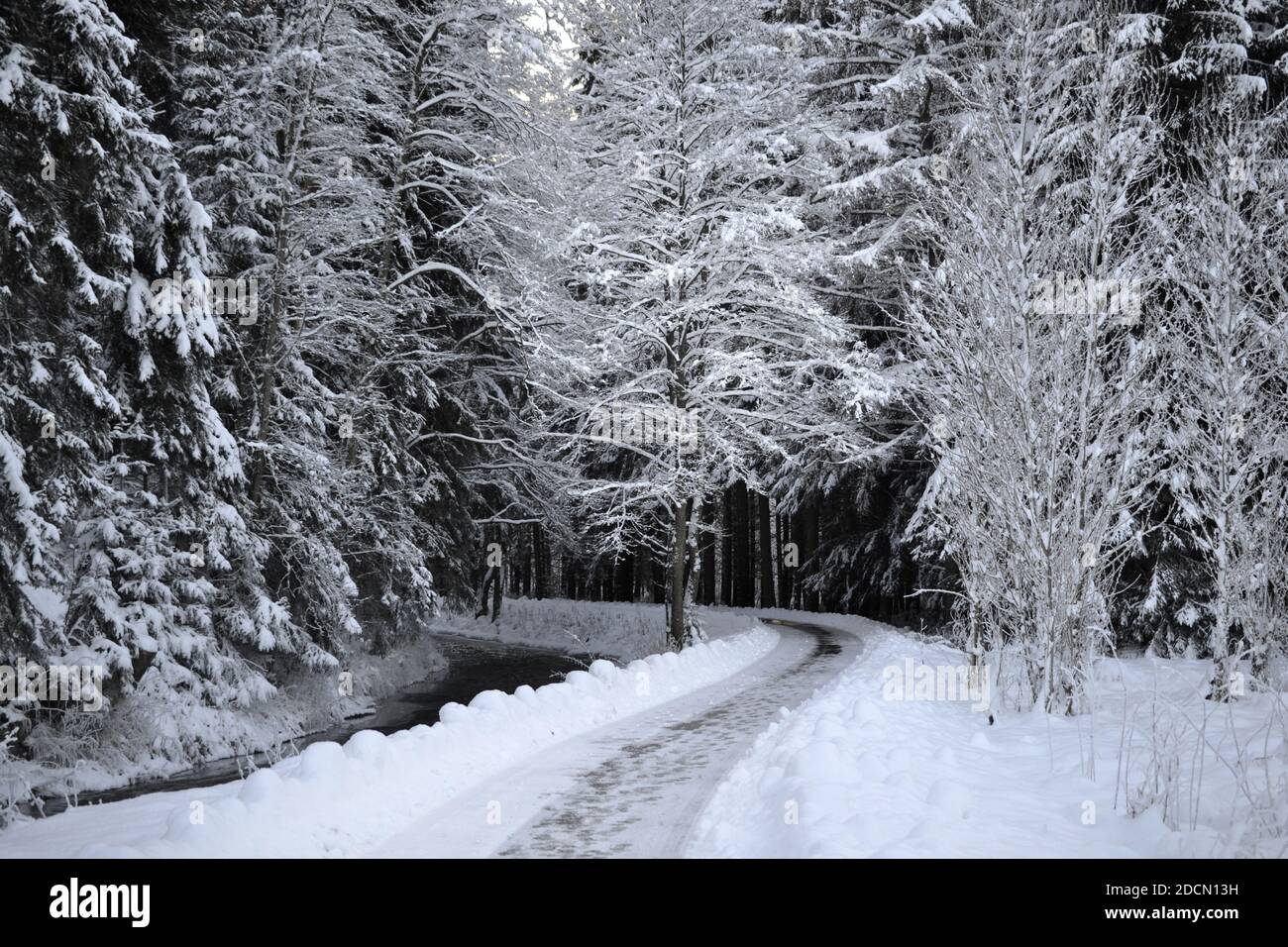 In inverno la neve foresta natale winter wonderland tramonto Foto Stock