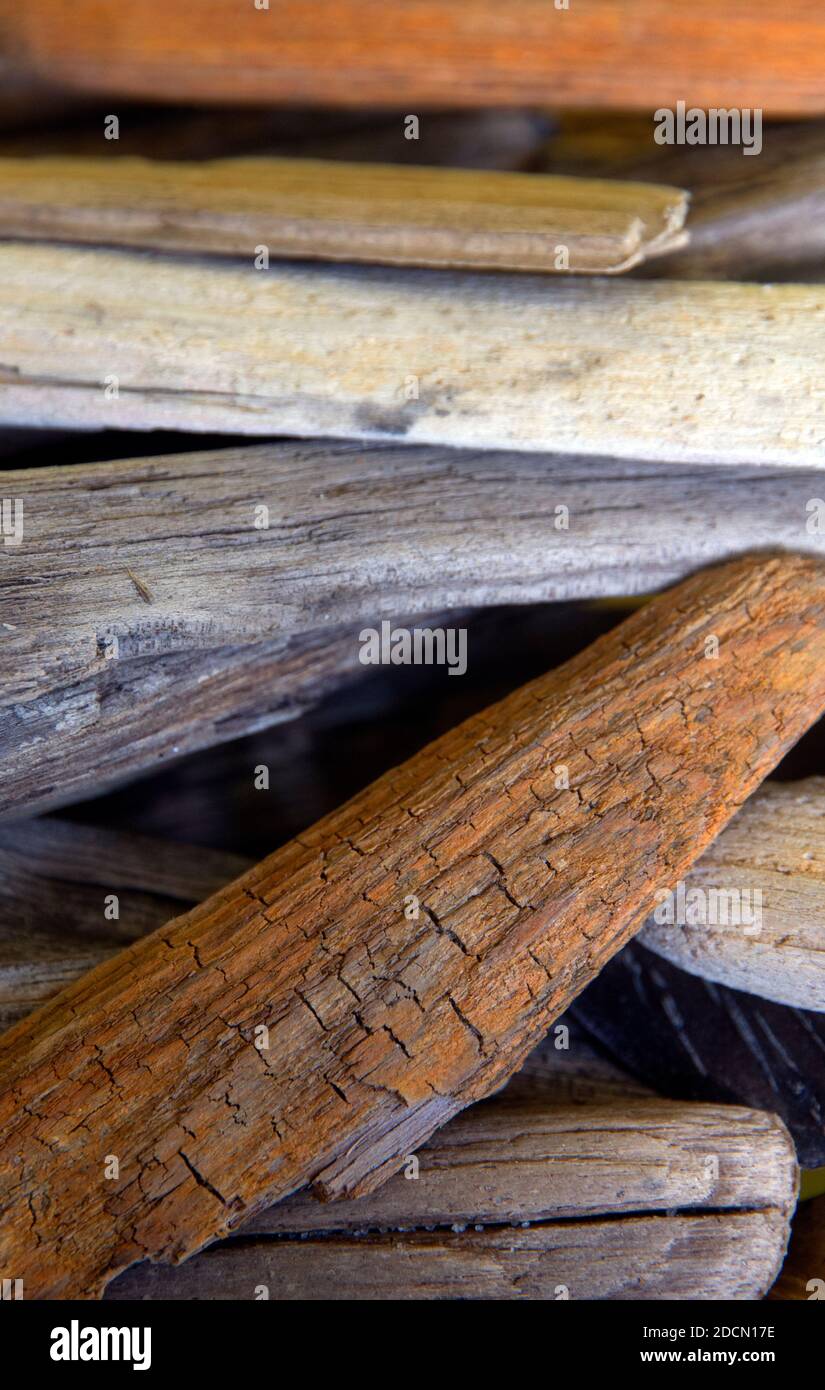 Driftwood Suffolk Foto Stock