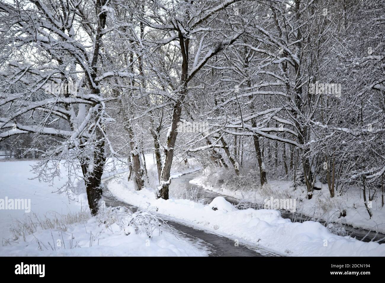 In inverno la neve foresta natale winter wonderland tramonto Foto Stock