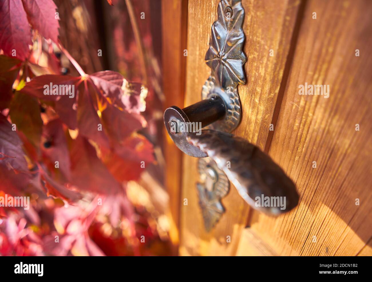 Vecchia maniglia di metallo ornato su una porta di legno, primo piano. Foto Stock