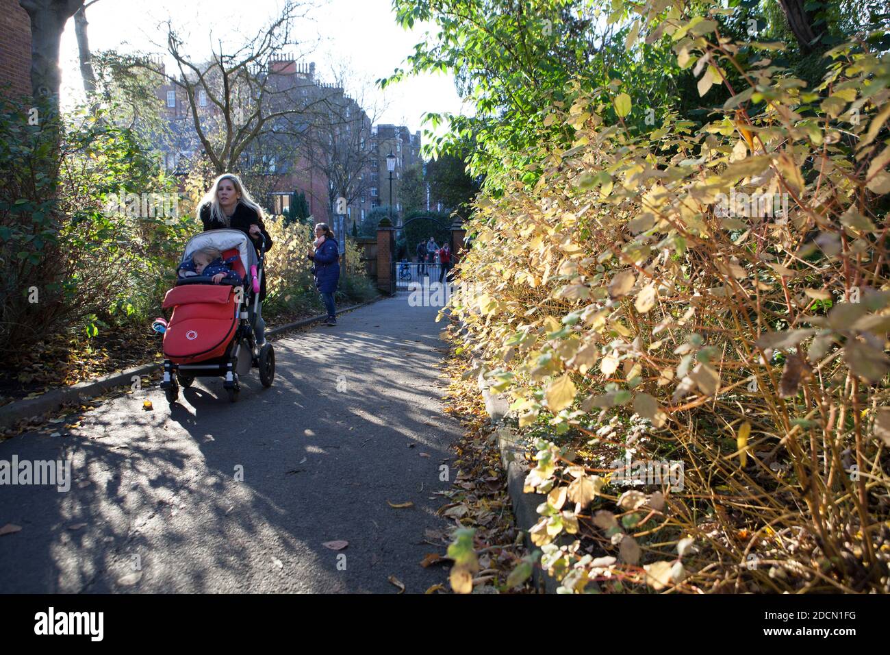 UK Weather, Londra, 22 novembre 2020: In una domenica di sole a Londra, la gente si riversa nell'Holland Park, dove si formarono code nel Kyoto Garden e i visitatori fotografarono scoiattoli e pavoni. Pochissime persone indossavano maschere di faccia ma la maggior parte ha fatto un tentativo di allontanamento sociale. Domani (lunedì) sono in programma annunci su un nuovo sistema di restrizioni di tipo "covid" da attuare una volta terminato il blocco in corso il 2 dicembre. Anna Watson/Alamy Live News Foto Stock UK Weather, Londra, 22 novembre 2020: In una domenica di sole a Londra, la gente si riversa nell'Holland Park, dove si formarono code nel Kyoto Garden e i visitatori fotografarono scoiattoli e pavoni. Pochissime persone indossavano maschere di faccia ma la maggior parte ha fatto un tentativo di allontanamento sociale. Domani (lunedì) sono in programma annunci su un nuovo sistema di restrizioni di tipo "covid" da attuare una volta terminato il blocco in corso il 2 dicembre. Anna Watson/Alamy Live News Foto Stock