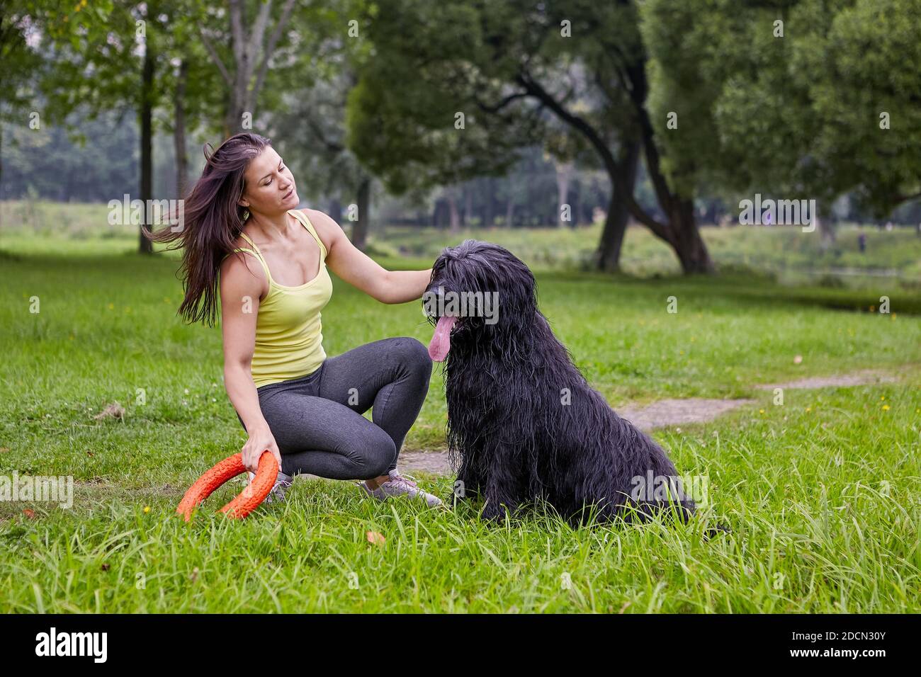 Briard siede sull'erba nel parco pubblico con la donna vicino. Foto Stock