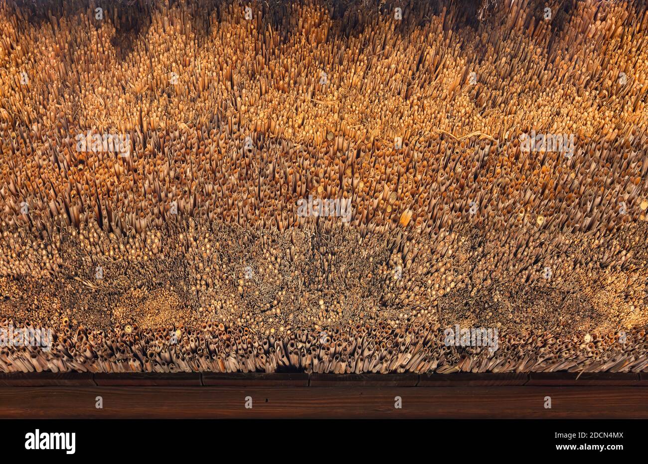 Primo piano sulla struttura di un vecchio tetto tradizionale giapponese Metodo di thatching chiamato Kayabuki tetto di paglia usando densamente imballato bulk di paglia asciutta Foto Stock