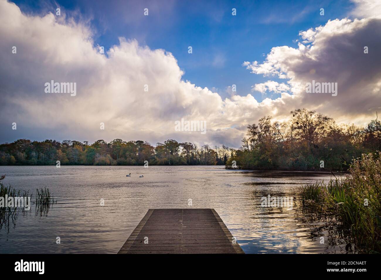 Colori autunnali sugli alberi che circondano un lago. Foto Stock