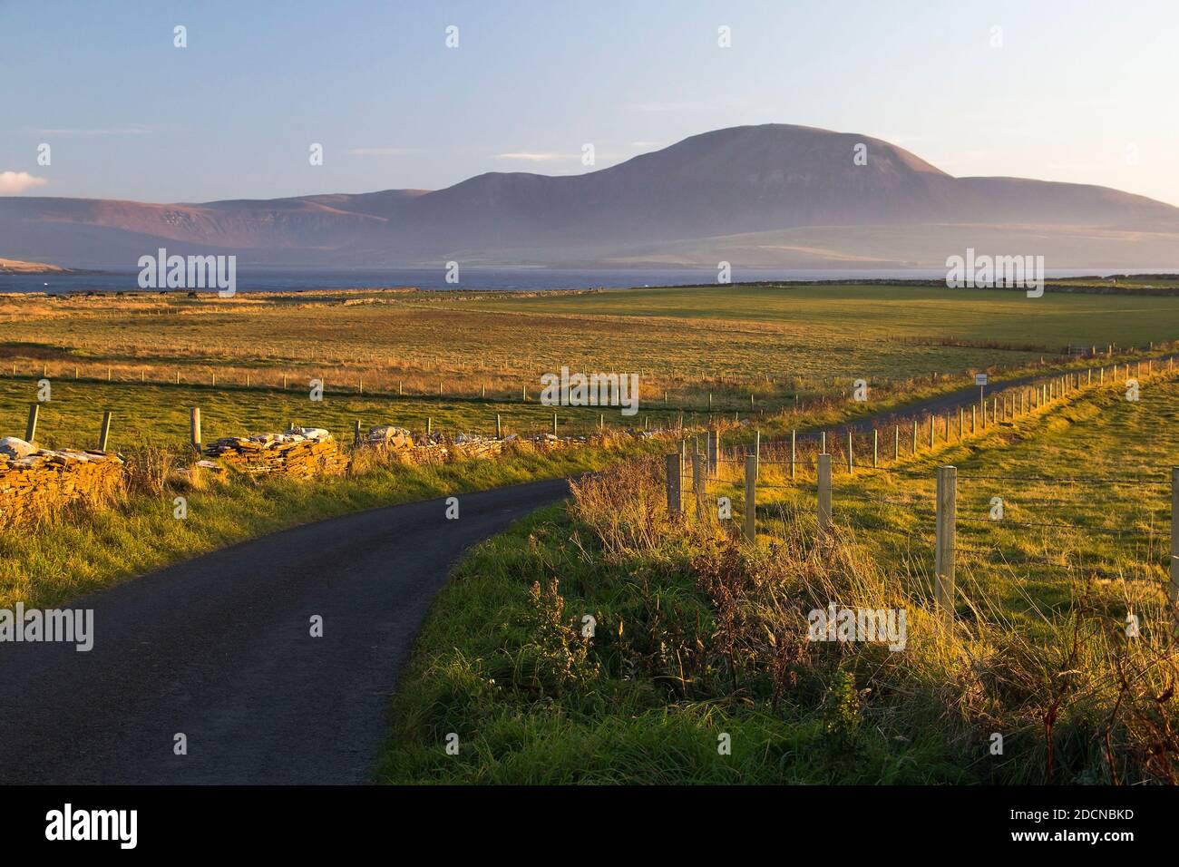Pomeriggio sulle isole Orkney con strada curvilinea tra recinzione e. Colline dell'isola di Hoy in lontananza Foto Stock