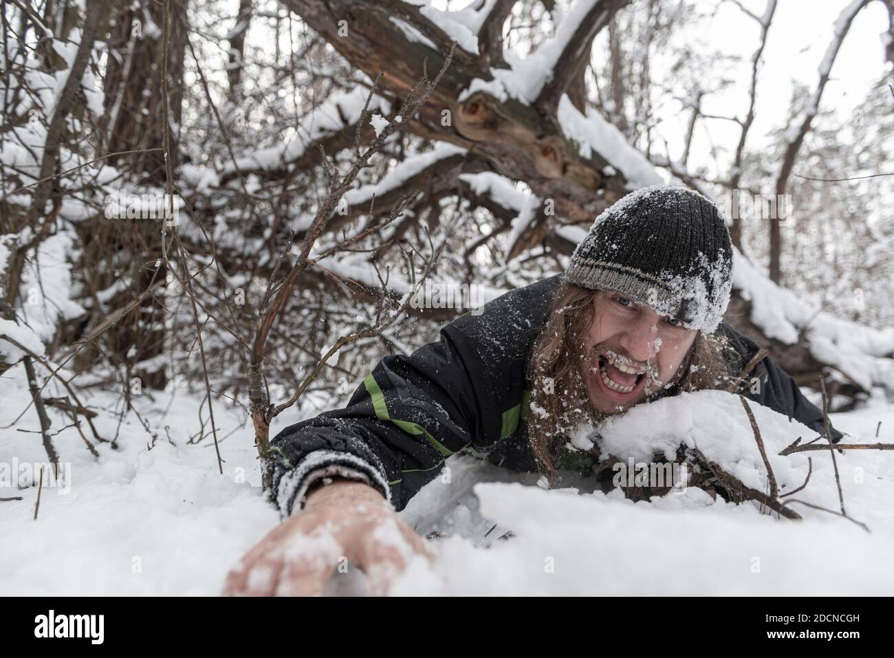 L'uomo sotto un albero caduto lotta per la sua vita nella foresta invernale. Pericolo di attività invernali. Vittima di valanghe. Foto Stock