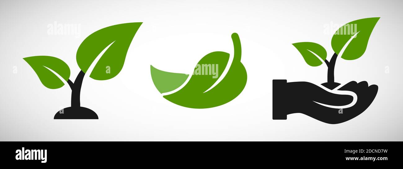Verde grigio semenzatura e mano con foglie eco crescente agricoltura icona e simbolo Illustrazione Vettoriale