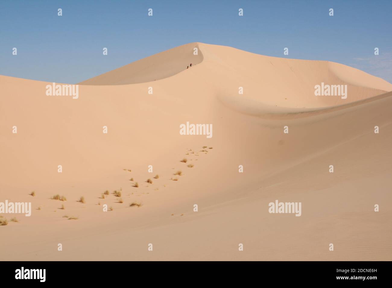 Dune nel deserto del Sahara nel cuore dell'Africa, Erg Admer, Algeria Foto Stock