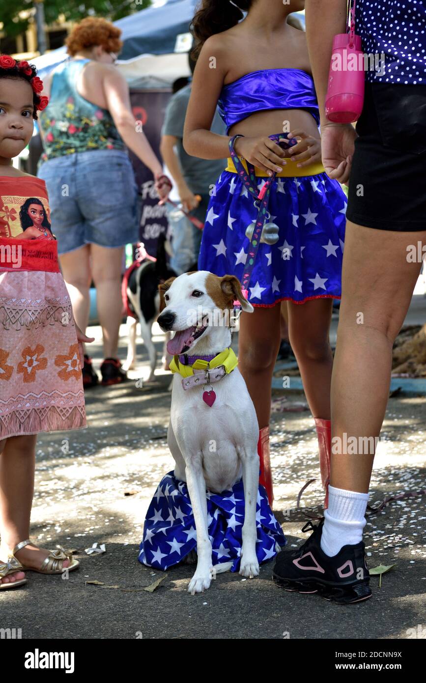 Brasile, Rio de Janeiro, 15 febbraio 2020: Festa per animali domestici. I proprietari di cani si incontrano per celebrare il Carnevale con i loro amati amici a quattro zampe. Foto Stock