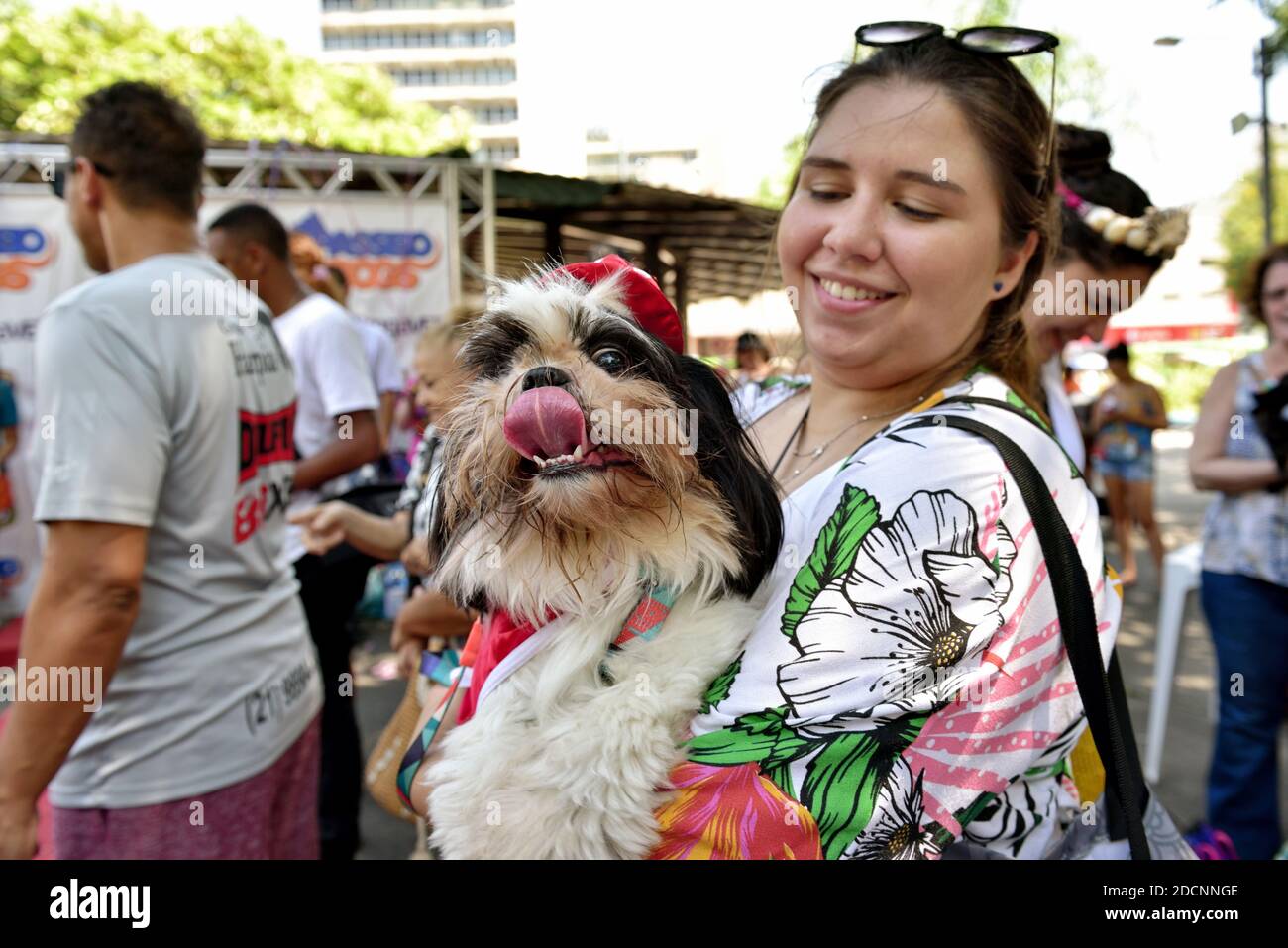 Brasile, Rio de Janeiro, 15 febbraio 2020: Festa per animali domestici. I proprietari di cani si incontrano per celebrare il Carnevale con i loro amati amici a quattro zampe. Foto Stock