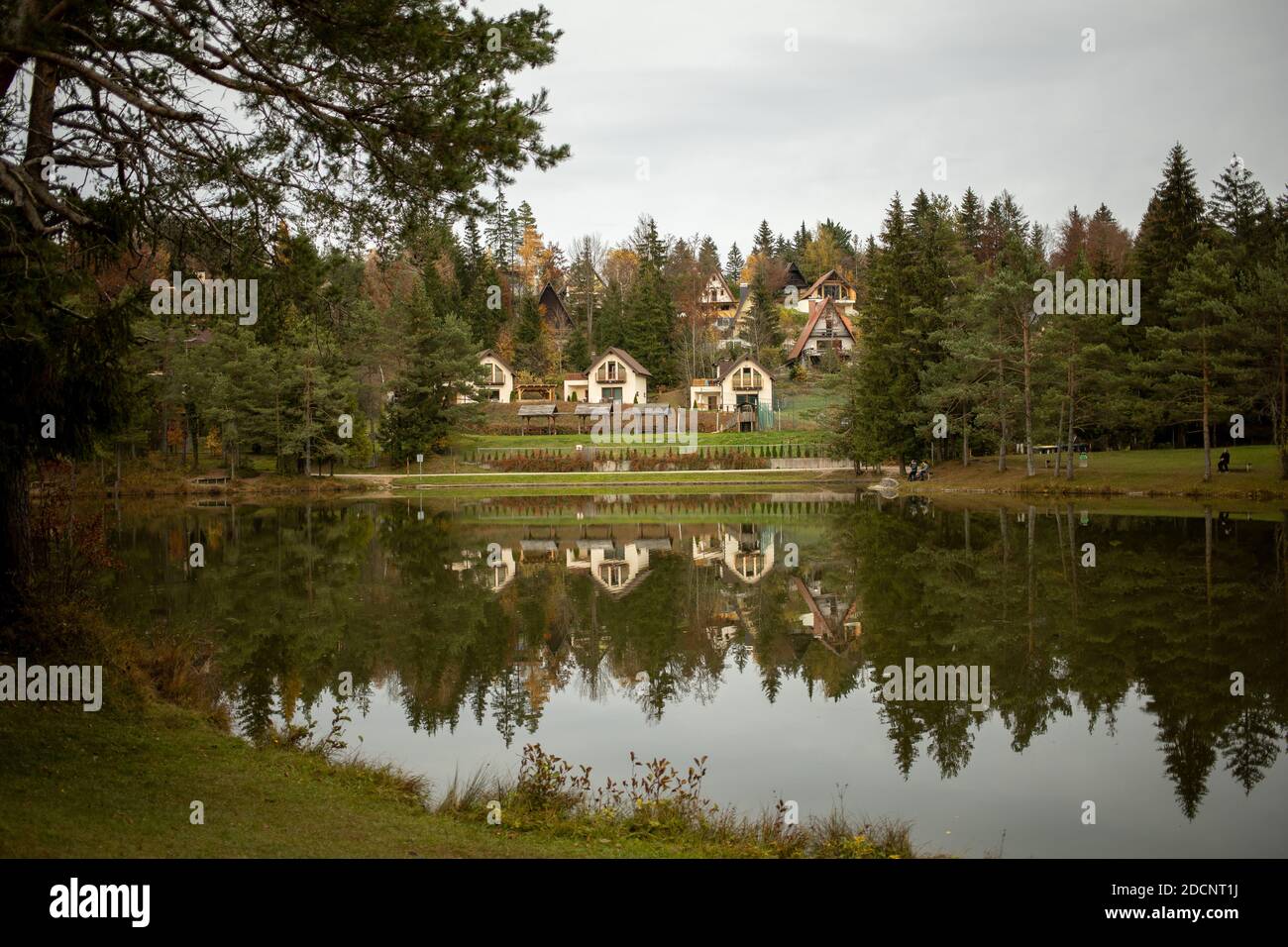 Prato tranquillo e accogliente vicino al lago Rakitna in Slovenia Foto Stock