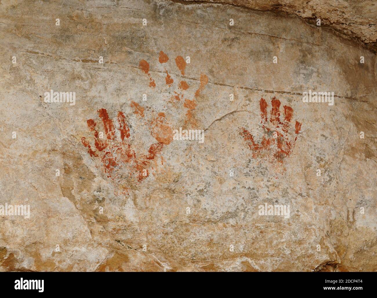 Stampe a mano dipinte su una roccia al Cliff Spring Grand Canyon National Park North Rim in un'estate calda e soleggiata Giorno Foto Stock