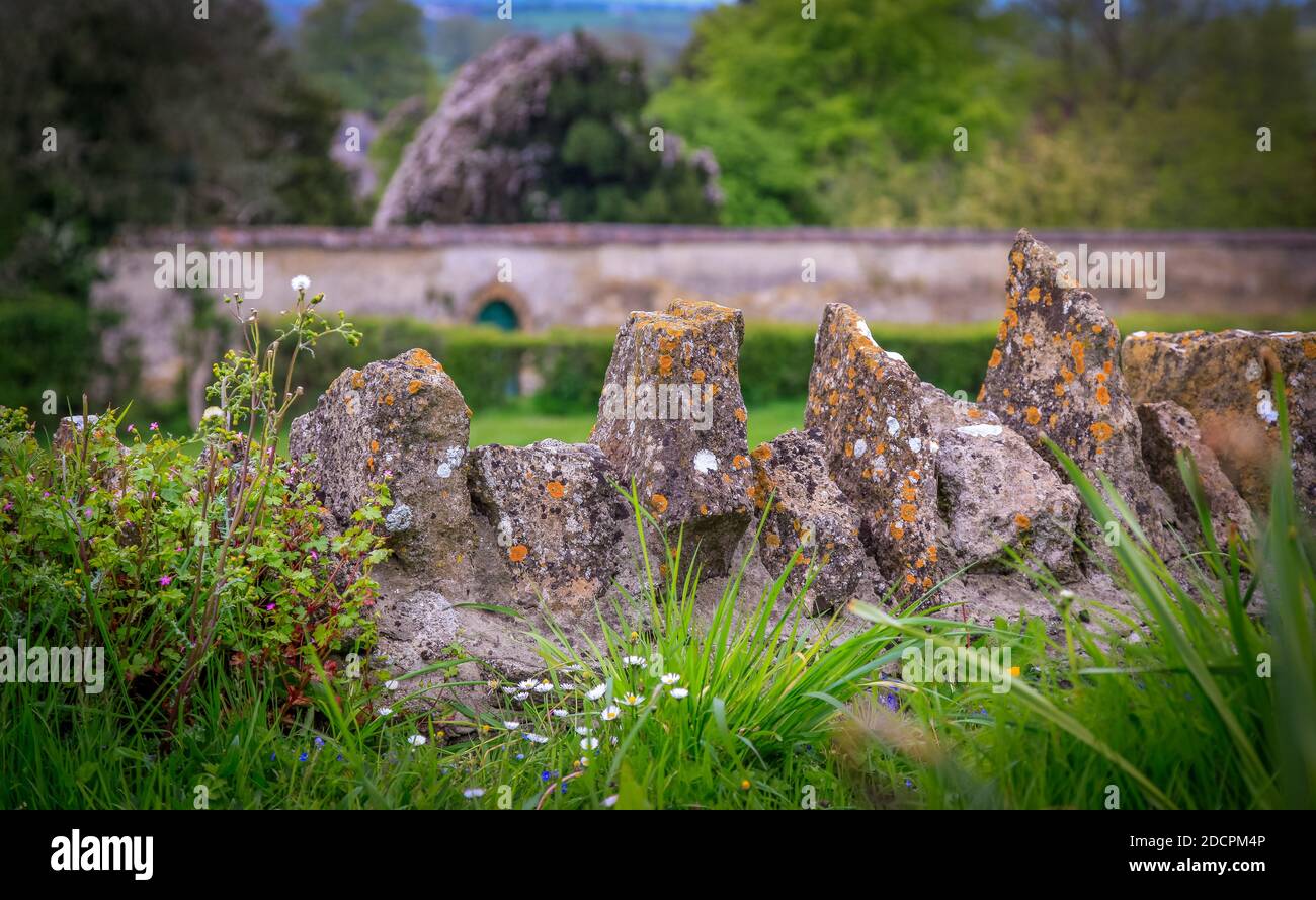 Primo piano di vecchie pareti in pietra a secco con pietre preziose coperte di lichene e circondate da fiori selvatici e siepi, nella contea di Somerset, Inghilterra, Regno Unito Foto Stock