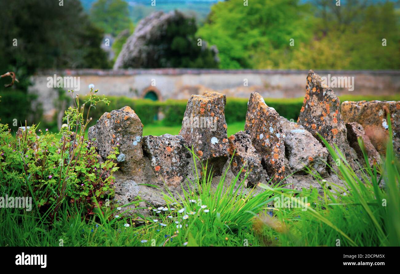 Primo piano di vecchie pareti in pietra a secco con pietre preziose coperte di lichene e circondate da fiori selvatici e siepi, nella contea di Somerset, Inghilterra, Regno Unito Foto Stock