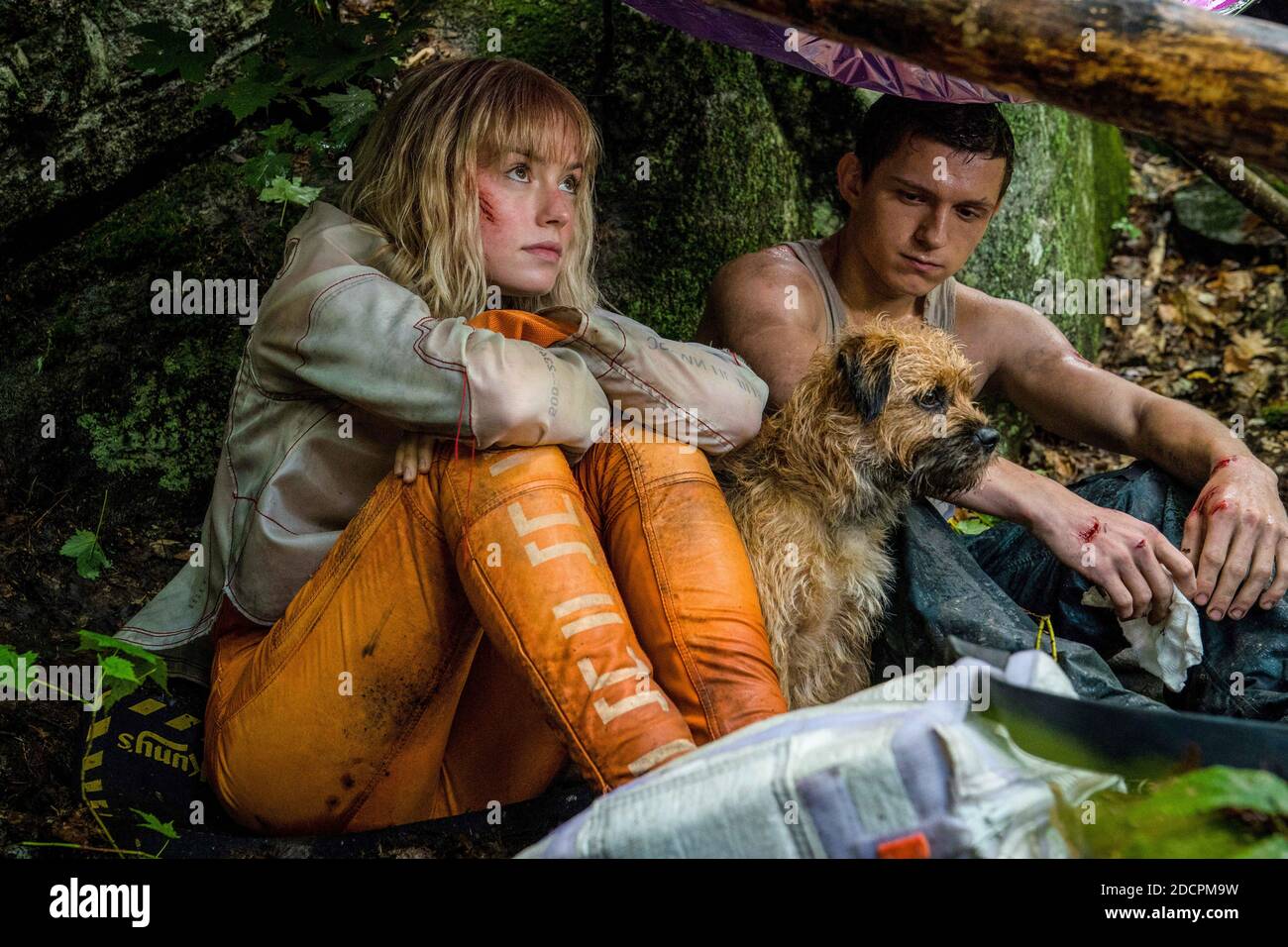 DATA DI USCITA: 22 gennaio 2021 TITOLO: Chaos Walking STUDIO: Lionsgate REGISTA: Doug Liman TRAMA: Un mondo distopico in cui non ci sono donne e tutte le creature viventi possono sentire i pensieri degli altri in un flusso di immagini, parole e suoni chiamati rumore. PROTAGONISTA: DAISY RIDLEY come Viola Eade, TOM HOLLAND come Todd Hewitt. (Immagine di credito: © Lionsgate/immagini di intrattenimento) Foto Stock