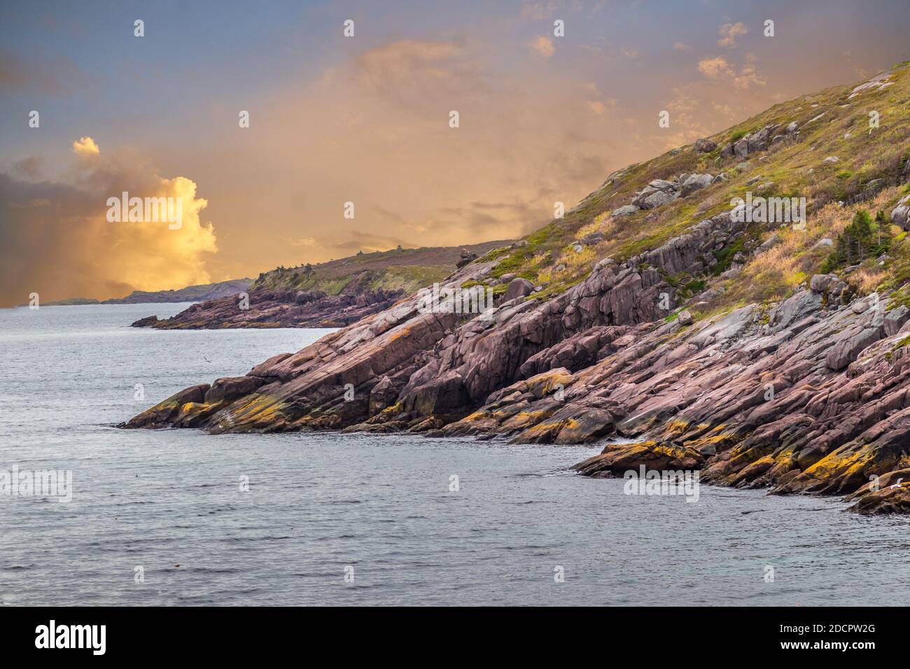 Alba sulla penisola di Avalon, Terranova, Canada. Scene della penisola di Avalon, Terranova Foto Stock