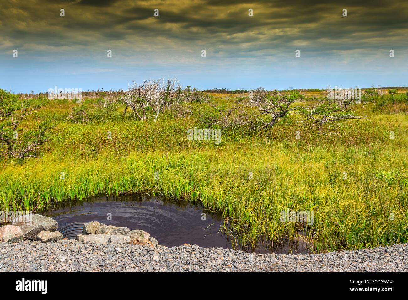 Splendido scenario del West Brook stagno - Gros Morne National Park, Terranova. Scene del Gros Morne National Park, Terranova Foto Stock