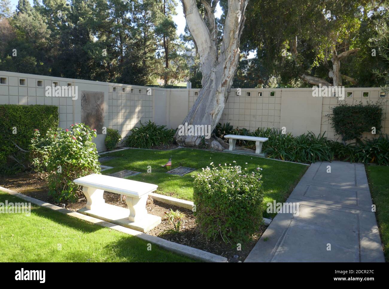 Los Angeles, California, USA 17 novembre 2020 UNA visione generale dell'atmosfera del comico Don Rickles grave al Mount Sinai Cemetery Hollywood Hills il 17 novembre 2020 a Los Angeles, California, USA. Foto di Barry King/Alamy Stock foto Foto Stock