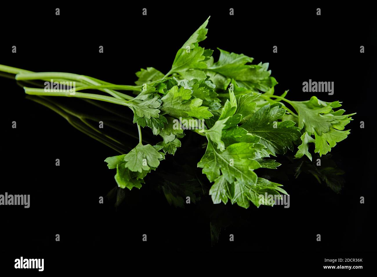 Un mazzo di prezzemolo verde fresco su sfondo nero con riflessi. Foto Stock