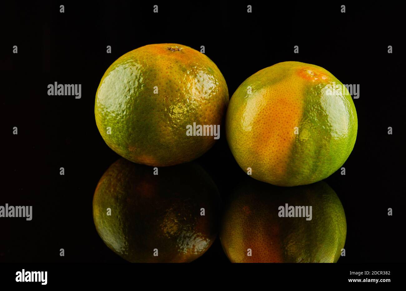 Due tangerini giallo-verde freschi e maturi su sfondo nero con riflessi. Foto Stock