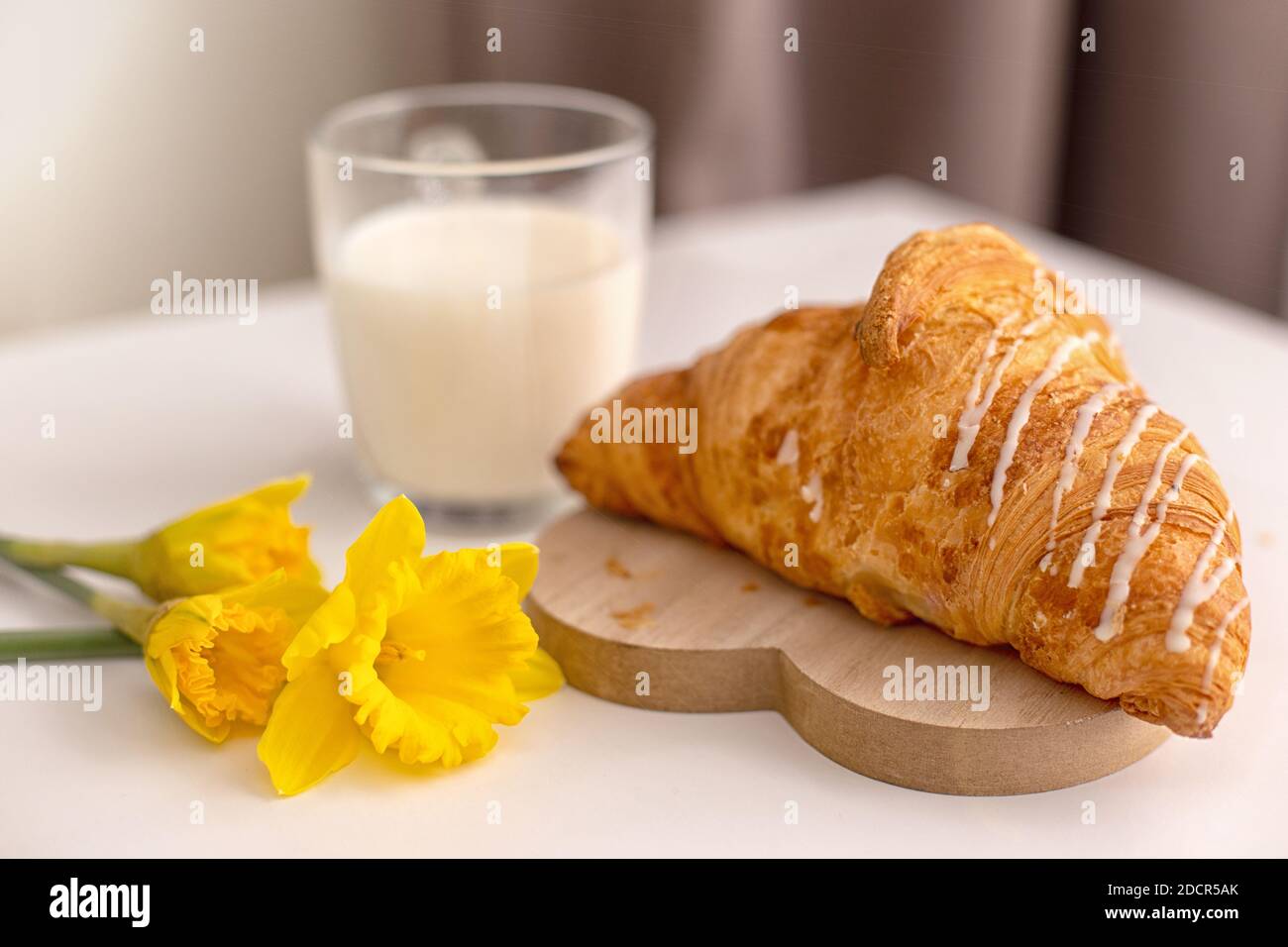 Tre fiori di narciso gialli, un grande croissant francese e un bicchiere di latte. Foto Stock