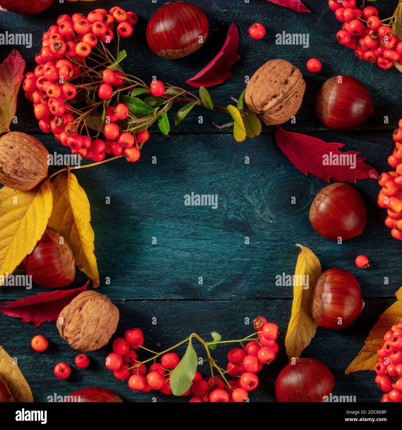 Modello di disegno sfondo autunno quadrato con castagne e foglie d'autunno, girato dall'alto con copyspace su sfondo blu Foto Stock