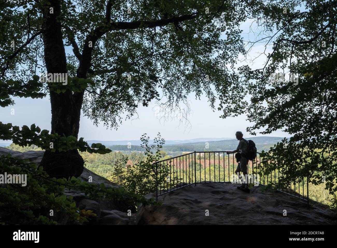 Escursionista godendo la vista nella foresta di Teutoburg Foto Stock