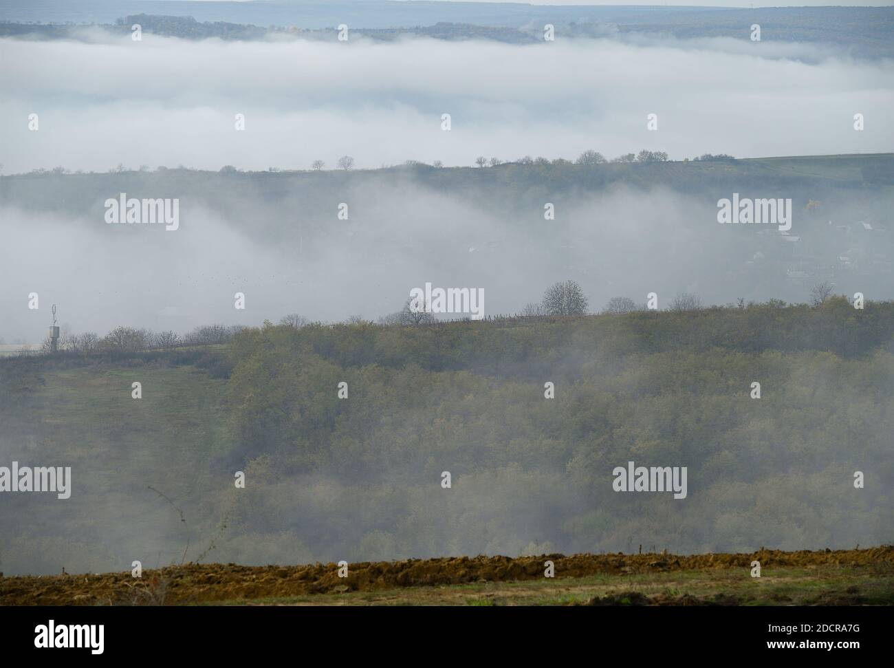 Mattina nebbia defilare sulle colline nebbie Foto Stock