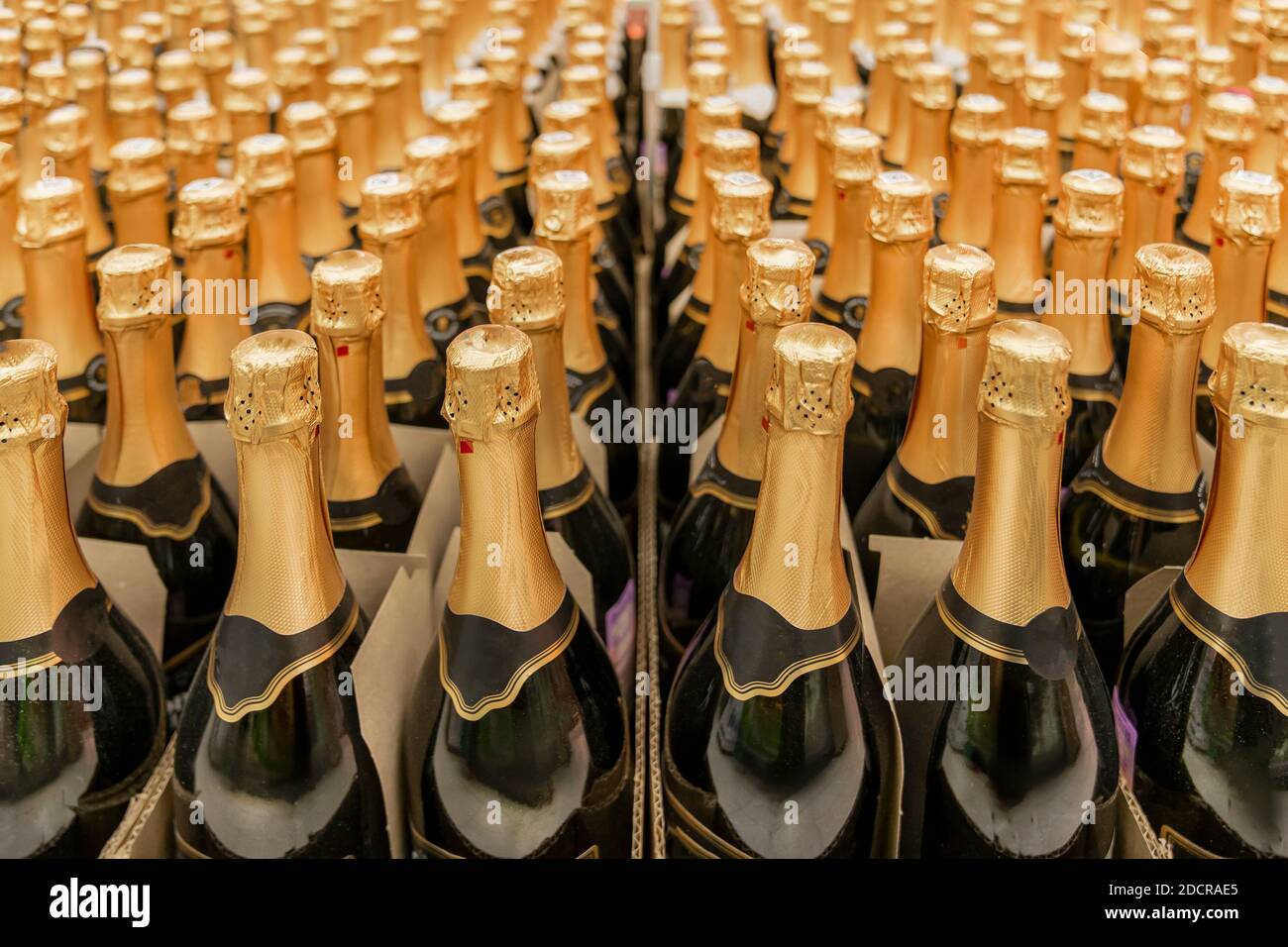Bottiglia di champagne e tante file di bottiglie con tappi dorati.  Preparazione per una vacanza o una festa, acquisto di bevande alcoliche  Foto stock - Alamy