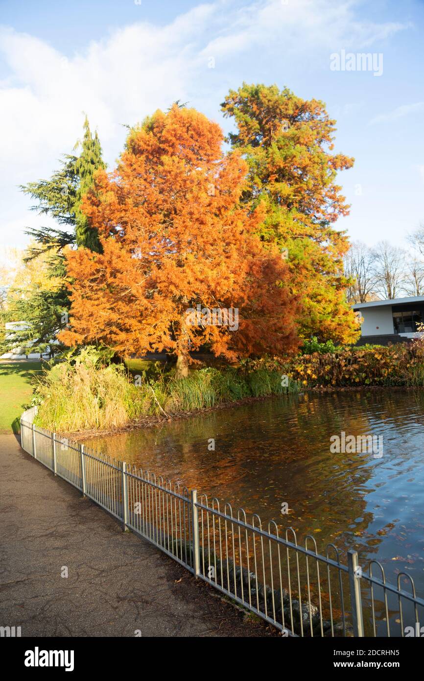 Autunno a Jephson Gardens Park, Royal Leamington Spa, Warwickshire, Inghilterra, Regno Unito Foto Stock