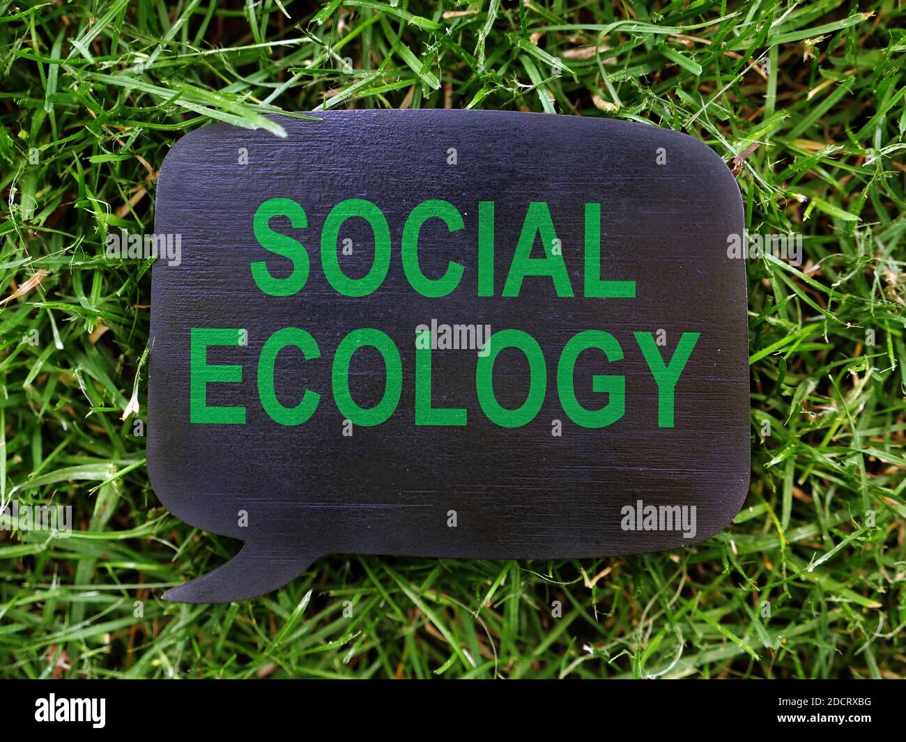 Piatto scuro con ecologia sociale sull'erba. Foto Stock