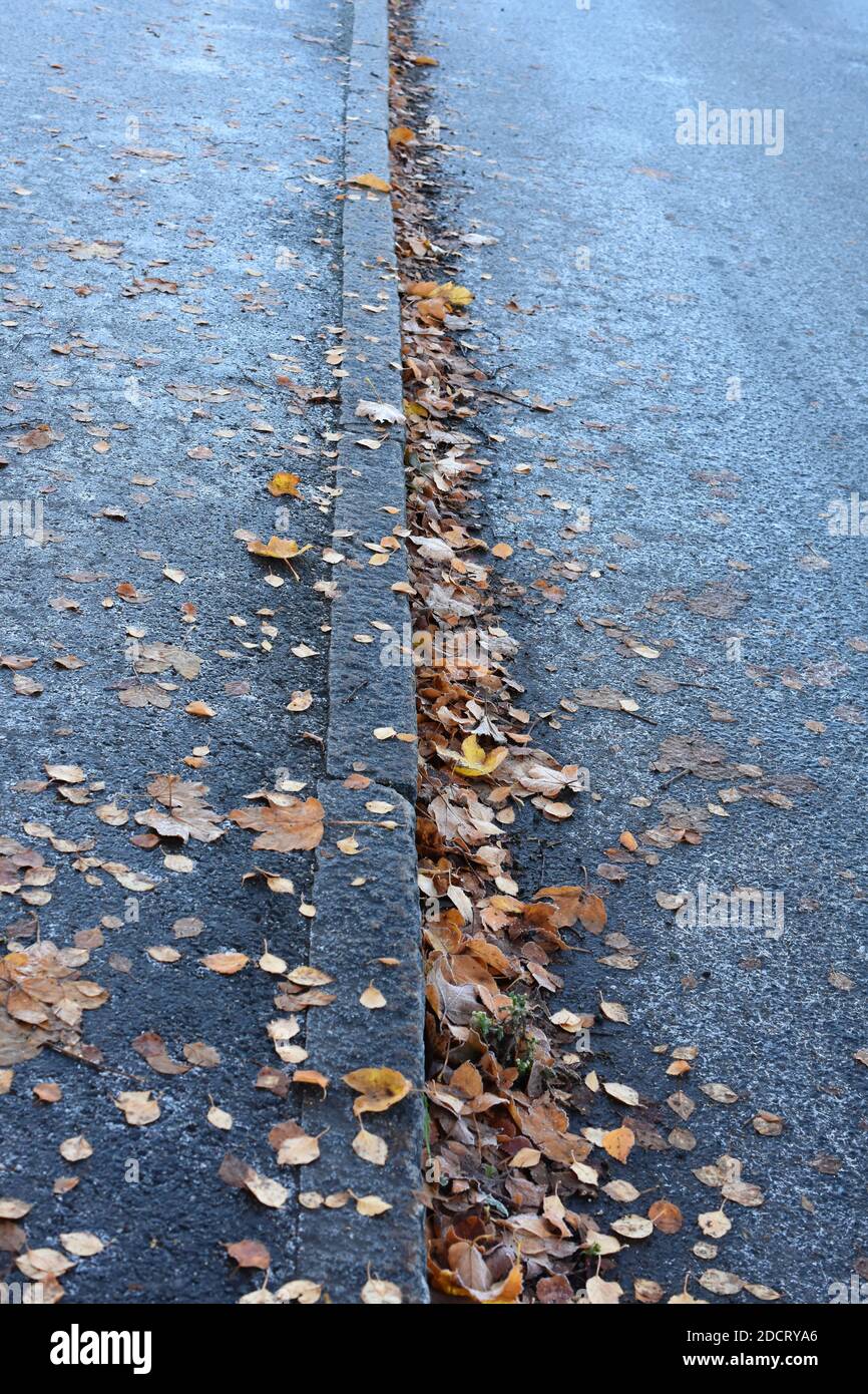 Foglie d'autunno caduto che si stese su un marciapiede e su una strada Foto Stock