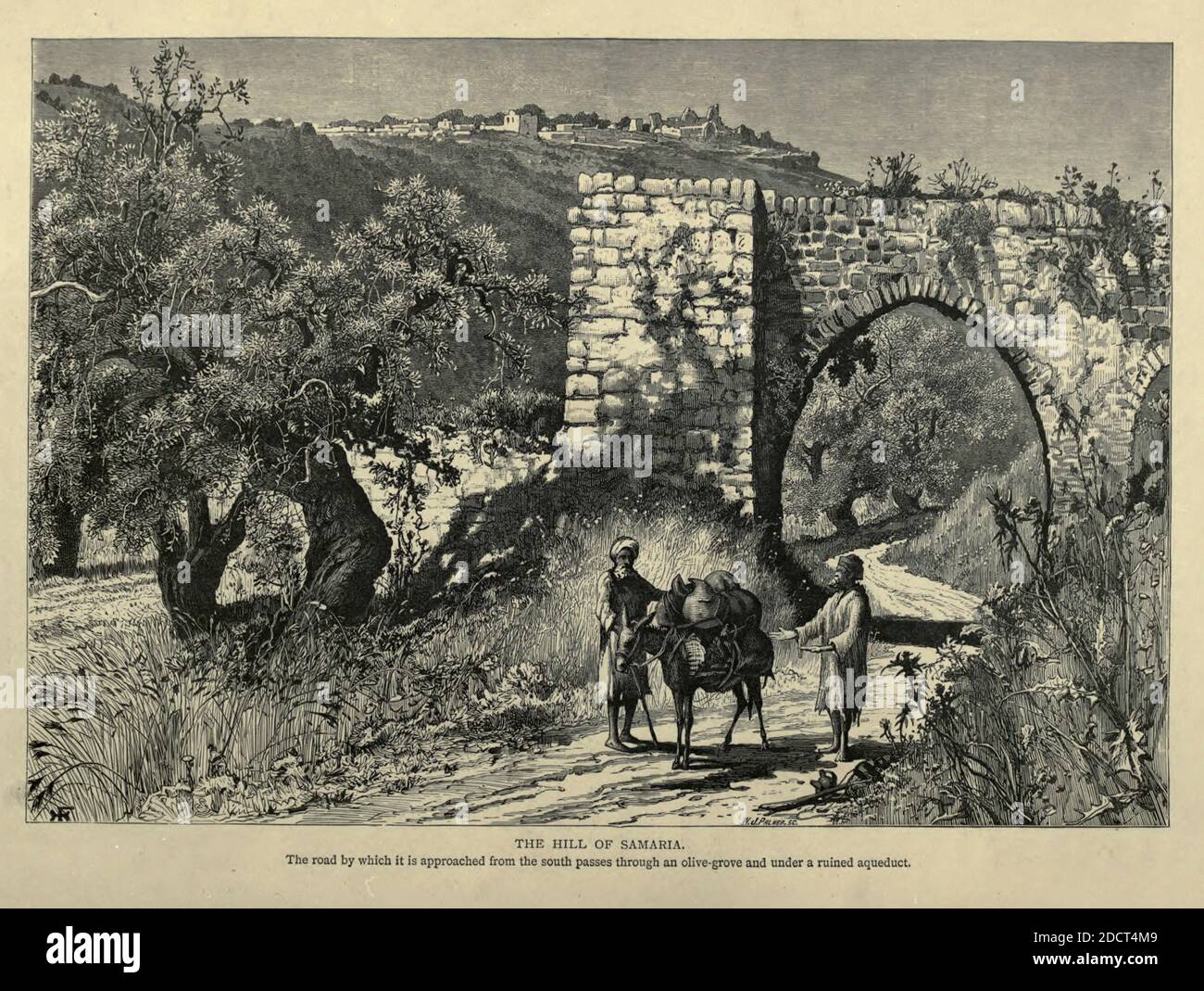 Incisione su legno della collina di Samaria dalla pittoresca Palestina, Sinai ed Egitto di Wilson, Charles William, Sir, 1836-1905; Lane-Poole, Stanley, 1854-1931 Volume 2. Pubblicato a New York da D. Appleton nel 1881-1884 Foto Stock