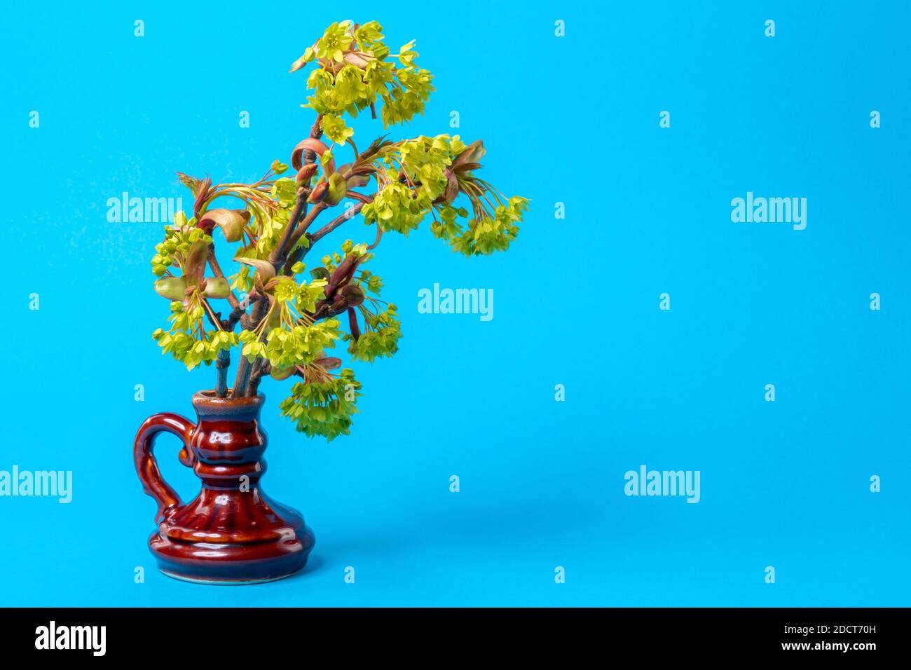 Ramoscello di un albero in fiore in un vaso su sfondo blu. Decorazione di Pasqua Foto Stock