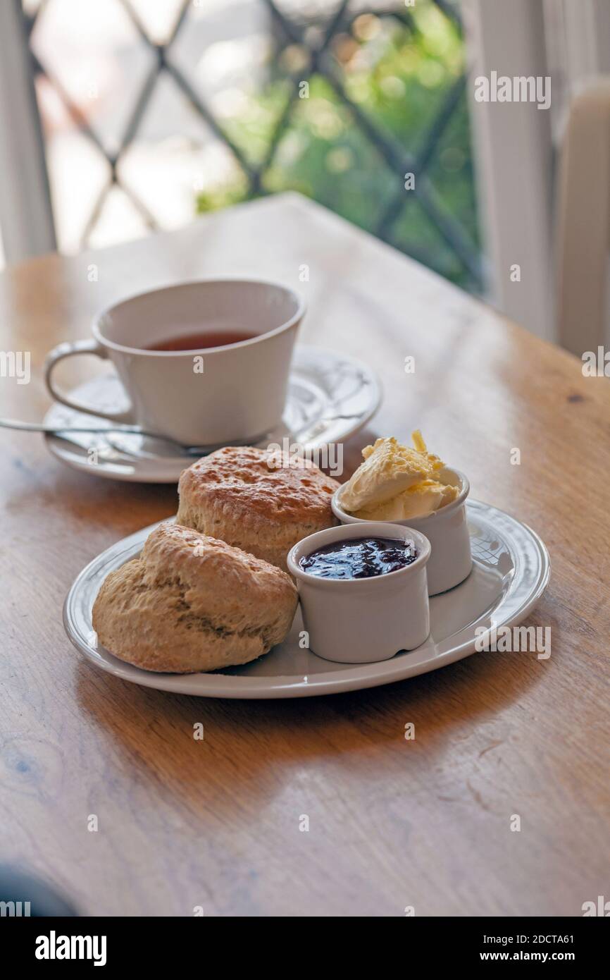 Inghilterra / Cornovaglia / St. Ives / Crema di tè della Cornovaglia e tazza di tè sullo sfondo. Foto Stock