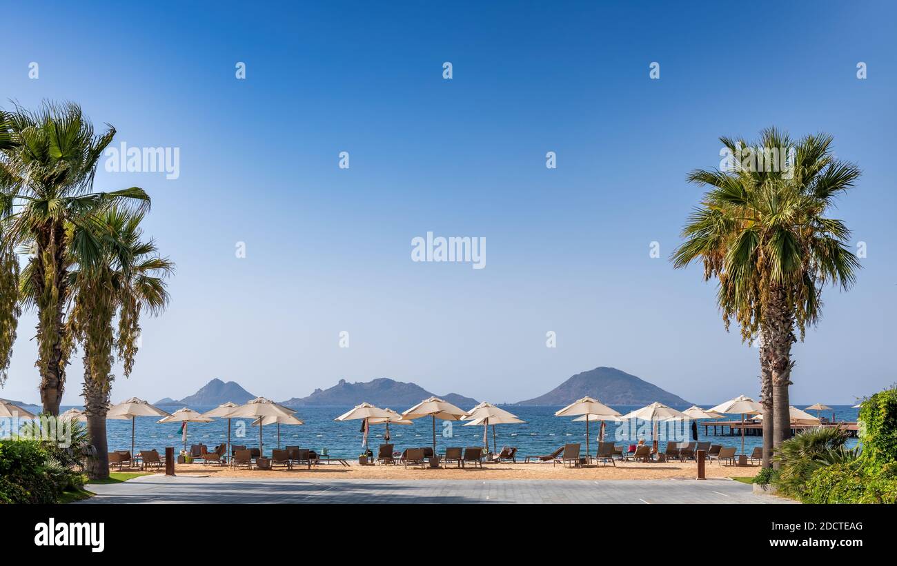 Bella spiaggia con ombrelloni e palme in Mar Egeo a Turgutreis, Bodrum, Turchia Foto Stock