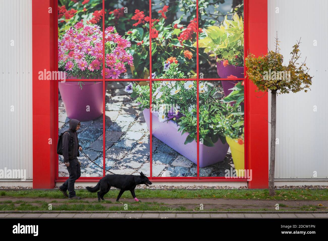 Uomo con il cane che cammina accanto a un poster pubblicitario in un centro giardino nel distretto di Kalk, Colonia, Germania. Mann mit Hund laeuft an einem Werbeplakat Foto Stock