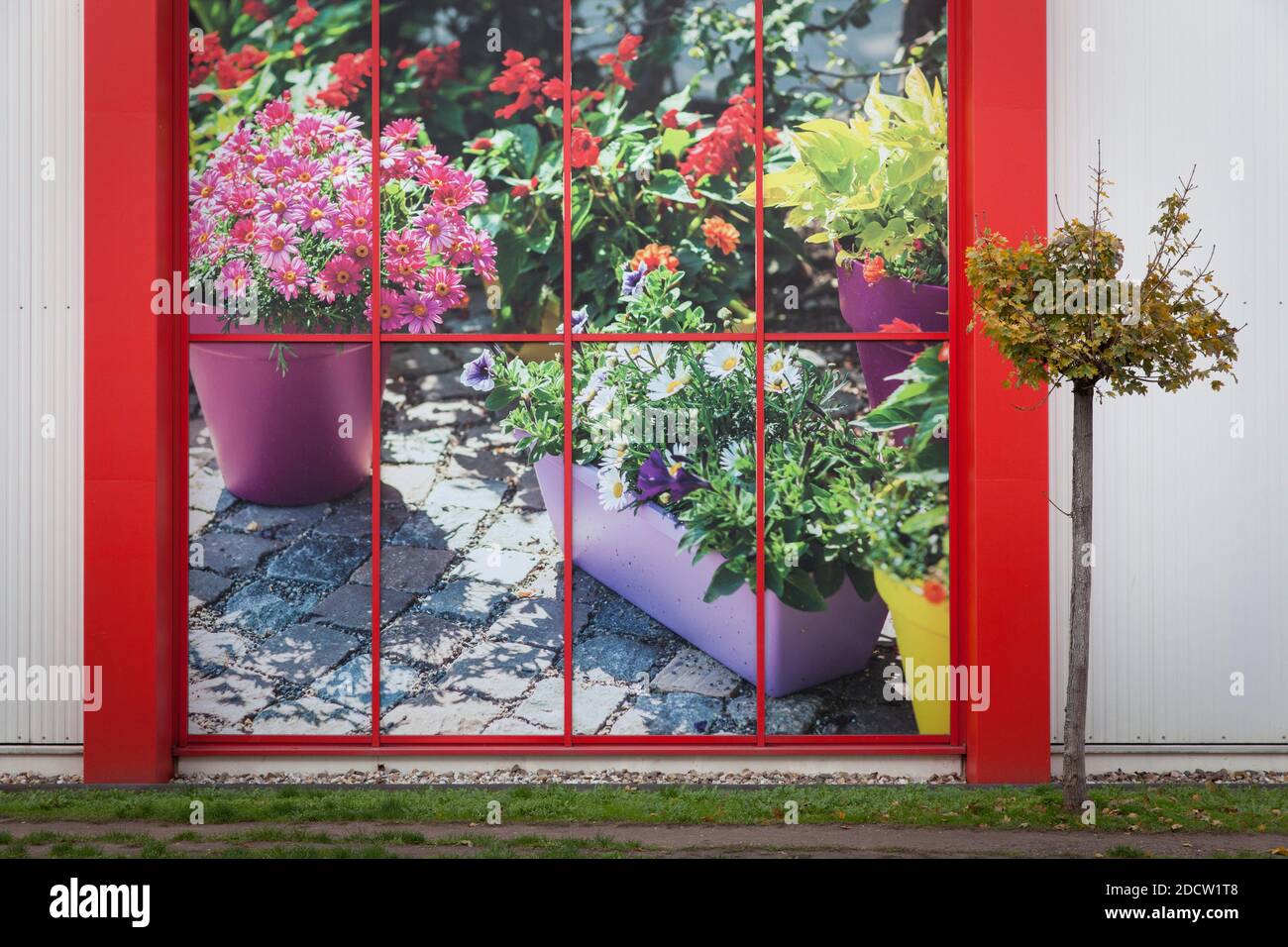 Piccolo albero di fronte a un poster pubblicitario in un giardino nel distretto di Kalk, Colonia, Germania. kleiner Baum vor einem Werbeplakat un einem Foto Stock