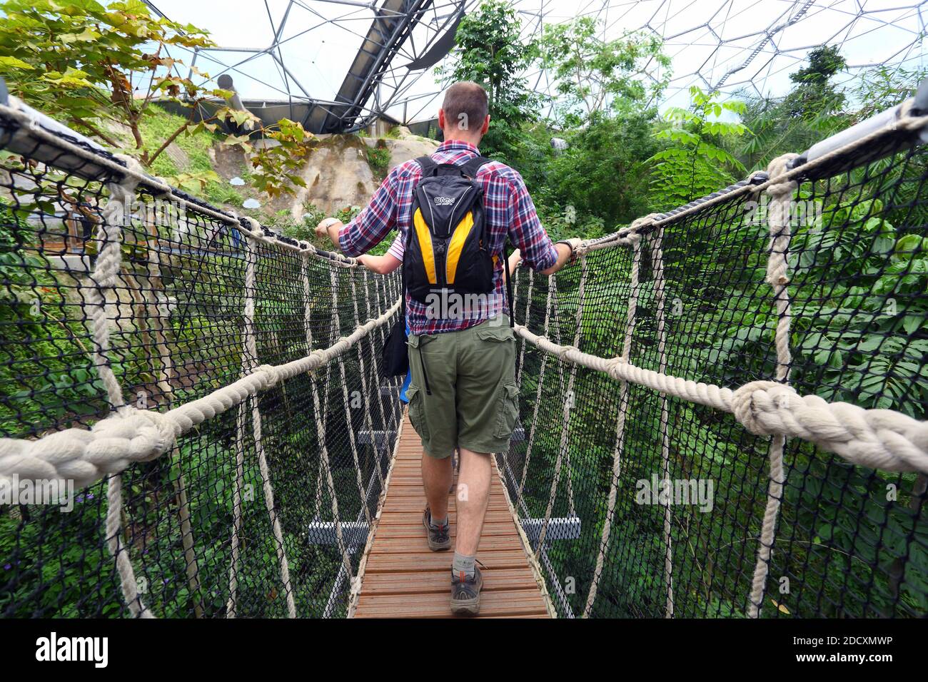 GRAN BRETAGNA / Cornovaglia / giovane uomo che attraversa il ponte pedonale ondeggiante sulla foresta pluviale biome a Eden Project. Foto Stock