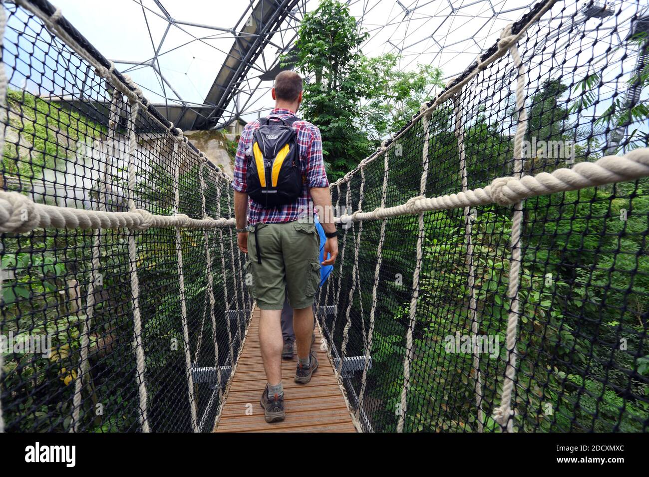 GRAN BRETAGNA / Cornovaglia / giovane uomo che attraversa il ponte pedonale ondeggiante sulla foresta pluviale biome a Eden Project. Foto Stock