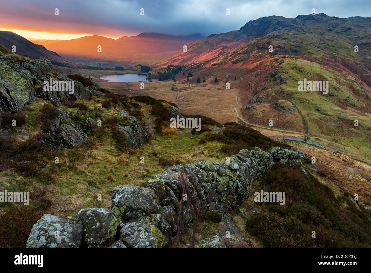 Bella alba incandescente con parete di pietra rurale in alto nel Lake District Fells. Foto Stock