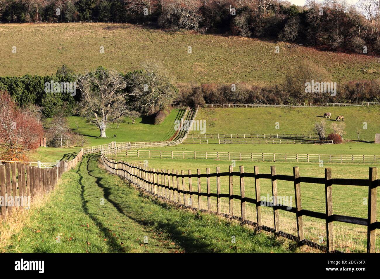Un paesaggio rurale inglese con percorso recintato tra i campi in Le colline Chiltern Foto Stock