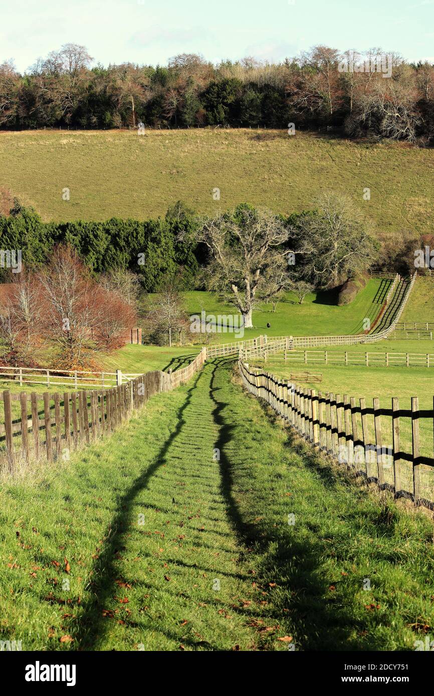 Un paesaggio rurale inglese con percorso recintato tra i campi in Le colline Chiltern Foto Stock